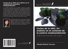 Copertina di Cartas de la SAO: Un análisis en el contexto de la justicia medioambiental