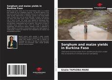 Portada del libro de Sorghum and maize yields in Burkina Faso