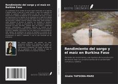 Buchcover von Rendimiento del sorgo y el maíz en Burkina Faso