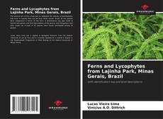 Buchcover von Ferns and Lycophytes from Lajinha Park, Minas Gerais, Brazil
