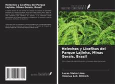 Helechos y Licofitas del Parque Lajinha, Minas Gerais, Brasil kitap kapağı