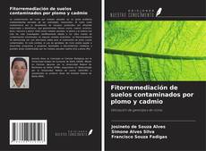 Capa do livro de Fitorremediación de suelos contaminados por plomo y cadmio 
