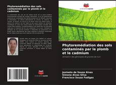 Phytoremédiation des sols contaminés par le plomb et le cadmium kitap kapağı