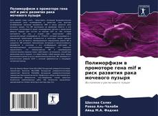 Buchcover von Полиморфизм в промоторе гена mif и риск развития рака мочевого пузыря