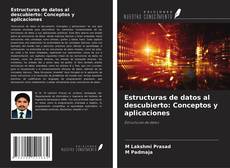 Buchcover von Estructuras de datos al descubierto: Conceptos y aplicaciones