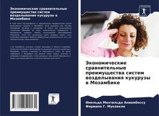 Buchcover von Экономические сравнительные преимущества систем возделывания кукурузы в Мозамбике