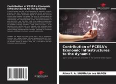 Buchcover von Contribution of PCESA's Economic Infrastructures to the dynamic