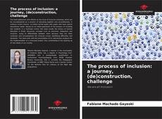 Обложка The process of inclusion: a journey, (de)construction, challenge