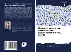 Процесс инклюзии: путешествие, (де)строительство, вызов的封面