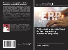 Buchcover von Problemas y perspectivas de las pequeñas y medianas empresas