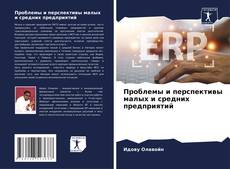 Buchcover von Проблемы и перспективы малых и средних предприятий
