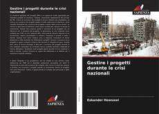 Couverture de Gestire i progetti durante le crisi nazionali