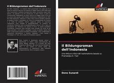 Il Bildungsroman dell'Indonesia kitap kapağı