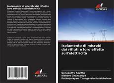 Isolamento di microbi dai rifiuti e loro effetto sull'elettricità kitap kapağı