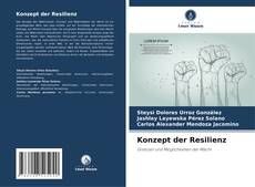 Capa do livro de Konzept der Resilienz 