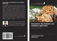 Copertina di Secuestro de metales con residuos agrícolas