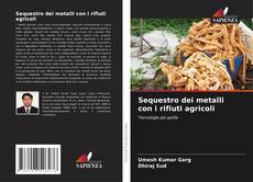 Couverture de Sequestro dei metalli con i rifiuti agricoli