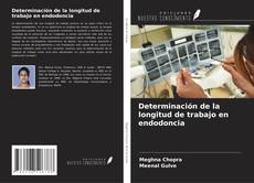 Determinación de la longitud de trabajo en endodoncia的封面