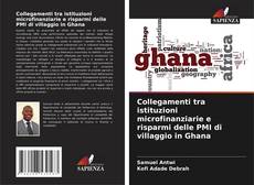 Couverture de Collegamenti tra istituzioni microfinanziarie e risparmi delle PMI di villaggio in Ghana