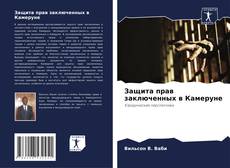 Защита прав заключенных в Камеруне的封面