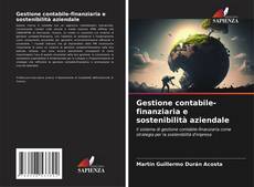 Couverture de Gestione contabile-finanziaria e sostenibilità aziendale