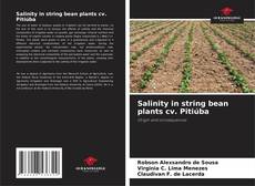 Salinity in string bean plants cv. Pitiúba kitap kapağı