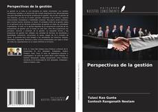 Buchcover von Perspectivas de la gestión