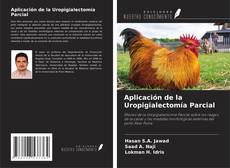Buchcover von Aplicación de la Uropigialectomía Parcial