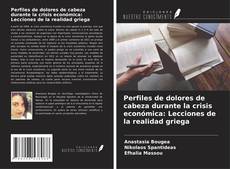 Buchcover von Perfiles de dolores de cabeza durante la crisis económica: Lecciones de la realidad griega