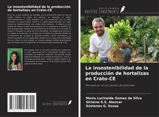 Capa do livro de La insostenibilidad de la producción de hortalizas en Crato-CE 
