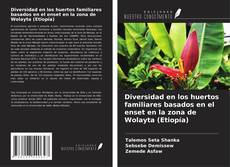 Buchcover von Diversidad en los huertos familiares basados en el enset en la zona de Wolayta (Etiopía)