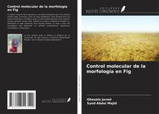 Buchcover von Control molecular de la morfología en Fig