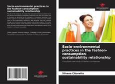 Capa do livro de Socio-environmental practices in the fashion-consumption-sustainability relationship 