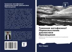 Buchcover von Туманная метафизика? Переосмысление диалектики Просвещения