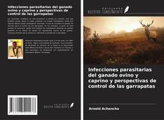 Buchcover von Infecciones parasitarias del ganado ovino y caprino y perspectivas de control de las garrapatas