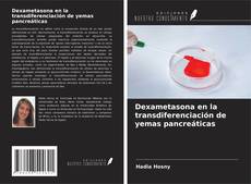 Buchcover von Dexametasona en la transdiferenciación de yemas pancreáticas