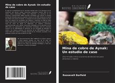 Couverture de Mina de cobre de Aynak: Un estudio de caso