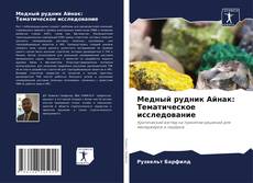 Buchcover von Медный рудник Айнак: Тематическое исследование