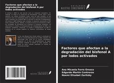 Buchcover von Factores que afectan a la degradación del bisfenol A por lodos activados
