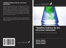 Buchcover von "Análisis hídrico de los recursos naturales