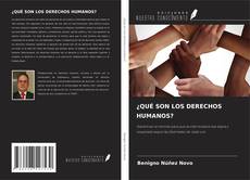 Buchcover von ¿QUÉ SON LOS DERECHOS HUMANOS?