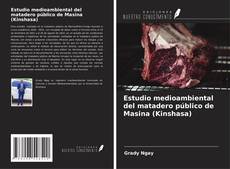Buchcover von Estudio medioambiental del matadero público de Masina (Kinshasa)