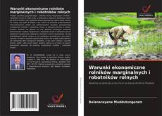 Bookcover of Warunki ekonomiczne rolników marginalnych i robotników rolnych