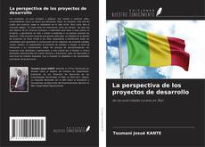 La perspectiva de los proyectos de desarrollo的封面