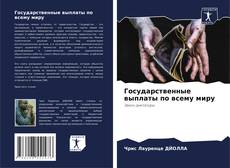Обложка Государственные выплаты по всему миру