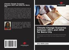 Copertina di Climate Change Scenarios between 2021 and 2050 for Beira City