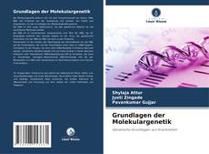 Bookcover of Grundlagen der Molekulargenetik