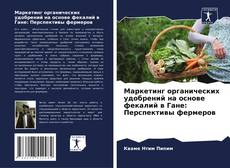 Bookcover of Маркетинг органических удобрений на основе фекалий в Гане: Перспективы фермеров