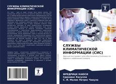Portada del libro de СЛУЖБЫ КЛИМАТИЧЕСКОЙ ИНФОРМАЦИИ (СИС)