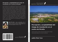 Copertina di Percepción y aceptabilidad del riesgo de inundación en el centro de Ricatla
